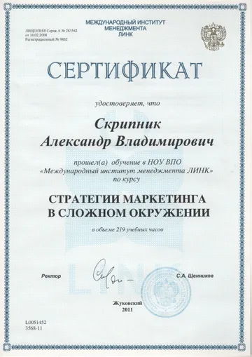 Marketing strategies in a complex environment — International Institute of Management LINK, 2011