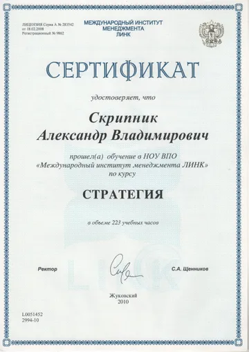 “Strategy” course — International Institute of Management LINK, 2010