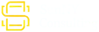 SunNY Consulting